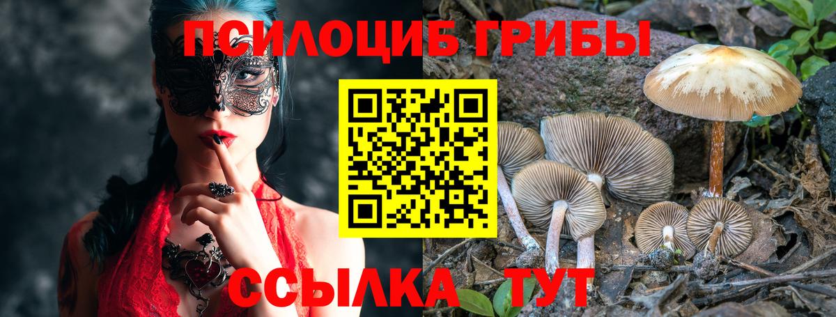 Псилоцибиновые грибы мухоморы Воткинск